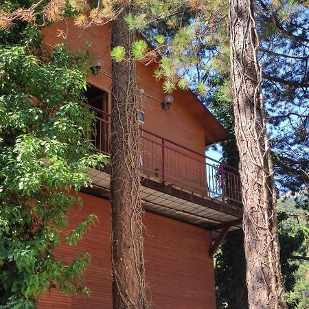 Hotel Toni Llogora Dukat Buitenkant foto