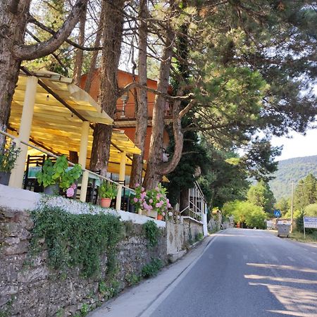 Hotel Toni Llogora Dukat Buitenkant foto