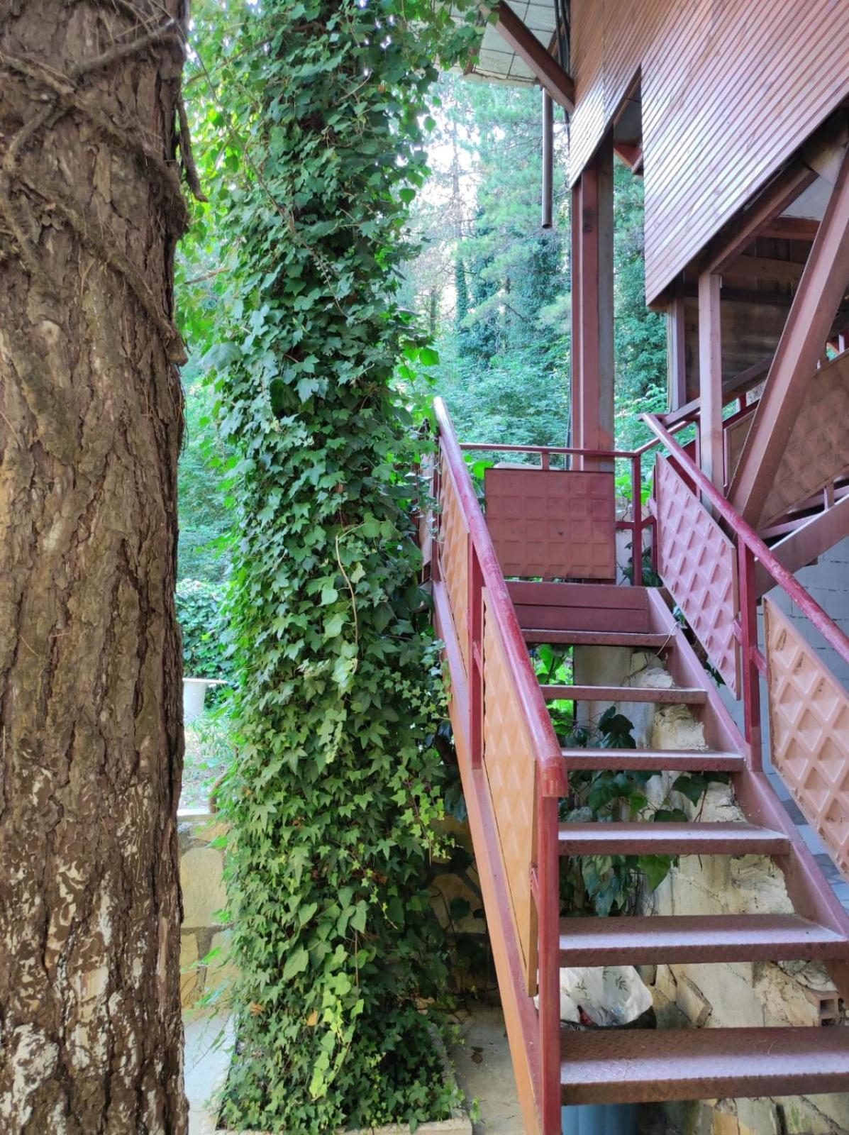 Hotel Toni Llogora Dukat Buitenkant foto
